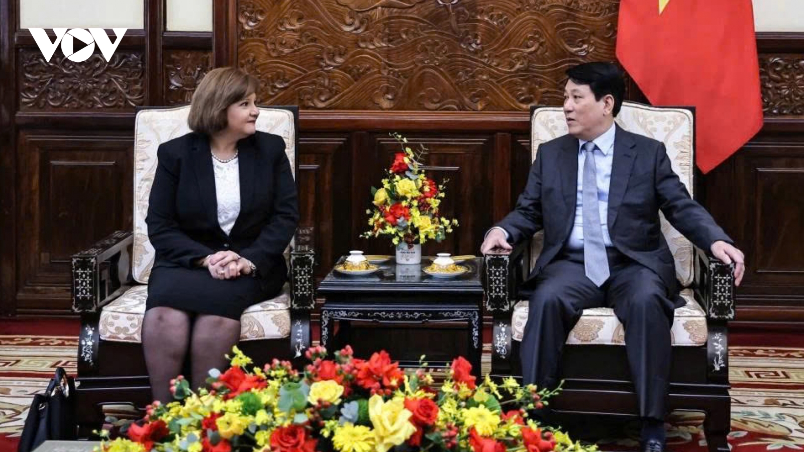 Vietnam wishes to strengthen multifaceted cooperation with Egypt